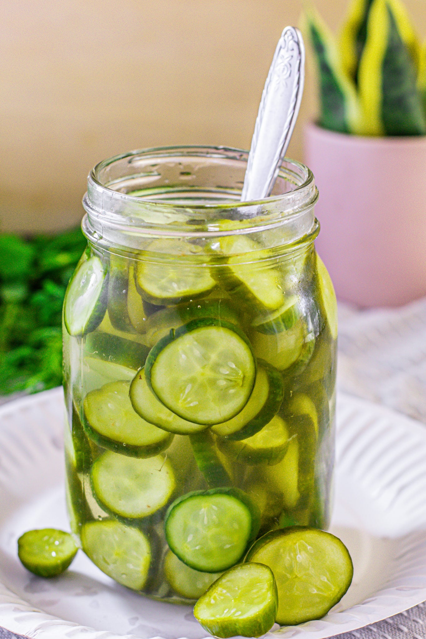 Pickled Cucumbers